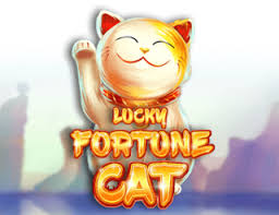 Lucky Fortune Cat