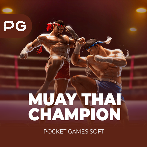 Muay Thai Champion