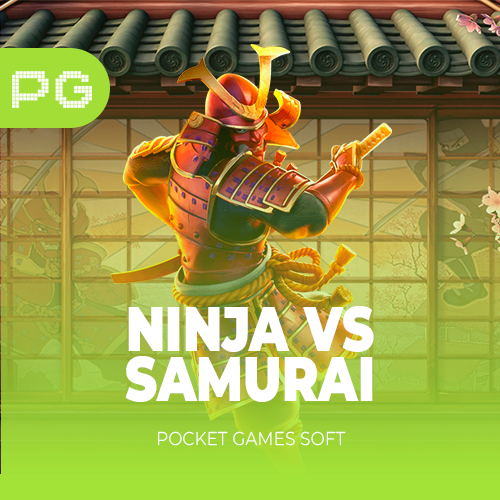 Ninja Vs Samurai